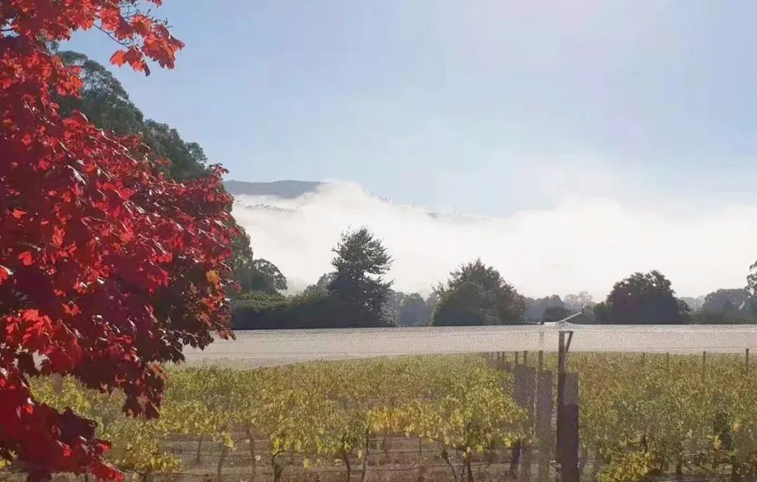 稅收優(yōu)惠|  單位價值500萬以內(nèi)的設(shè)備、器具可以一次性作為費用扣除